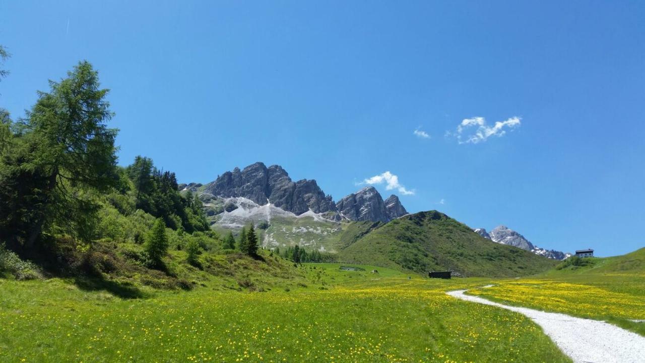 Edelweisshuette Ladurns 호텔 플레레스 외부 사진